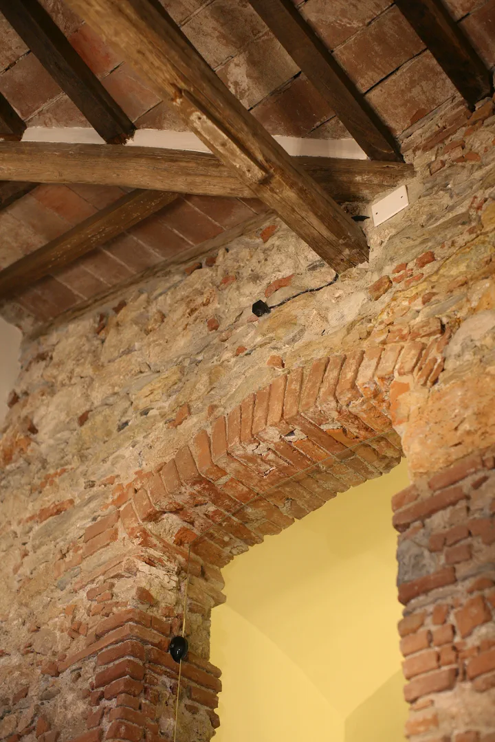 Musa, immagine 17